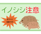 「イノシシ注意」の注意喚起テンプレート
