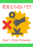 「お花をとらないで！」のテンプレート