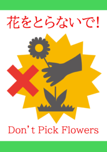 「お花をとらないで！」のテンプレート