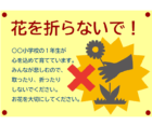 「花を折らないで！」のテンプレート