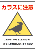 カラスに注意のテンプレート
