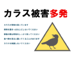 カラス被害多発のテンプレート