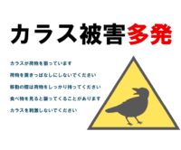 カラス被害多発のテンプレート