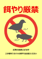 ハトの餌やり厳禁のテンプレート