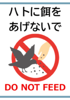 「ハトに餌をあげないで」のテンプレート