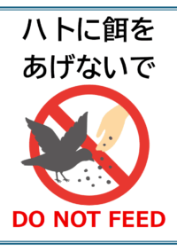「ハトに餌をあげないで」のテンプレート