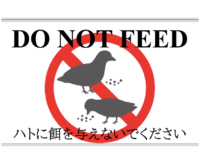 「ハトに餌を与えないでください」（英字）のテンプレート